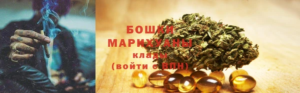 индика Тихорецк