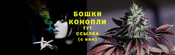 apvp Гусь-Хрустальный