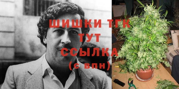 apvp Гусь-Хрустальный