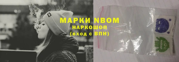 дмт Гусев