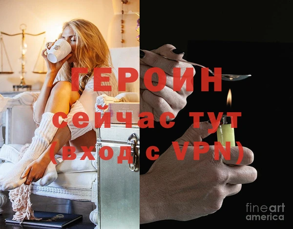 дмт Гусев