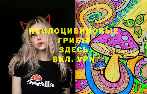 apvp Гусь-Хрустальный