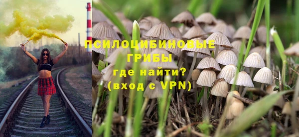 apvp Гусь-Хрустальный