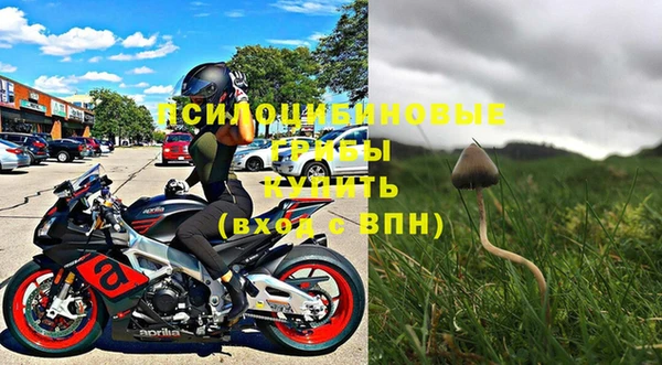 дмт Гусев