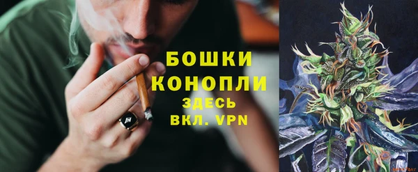 apvp Гусь-Хрустальный