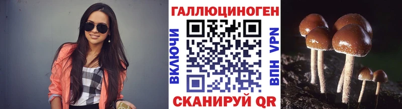 Галлюциногенные грибы Cubensis  где продают наркотики  Мценск 